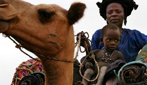 mother-and-child-ride-atop-a-camel-as-a-tuareg-caravan-travels-north-through-a-remote-region-of-southern-niger