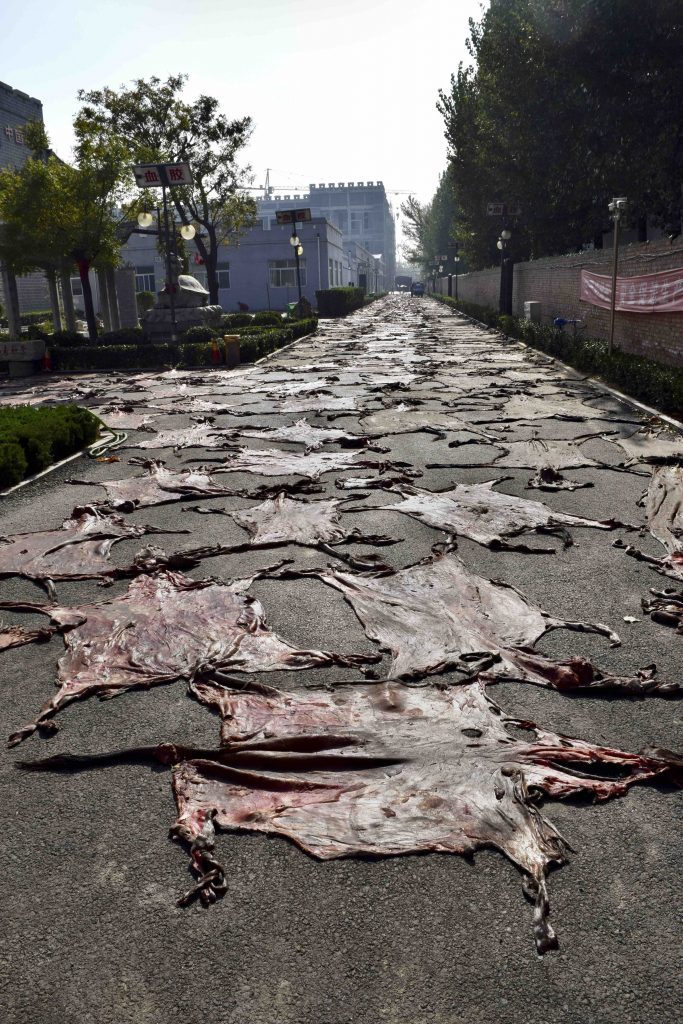 donkey-skins-drying-in-the-sun-photo-by-george-knowles-hong-kong-683x1024-1156135