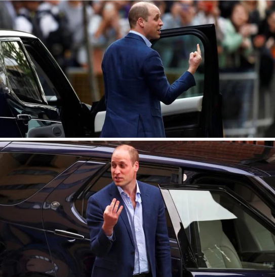screenshot_2019-03-18-r-funny-prince-william-its-all-about-point-of-view-1258307