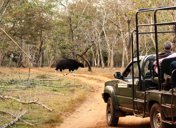 nagarhole-national-park-600x436-2-1534244